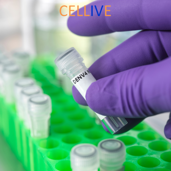 CELLIVE Basic Health Scan